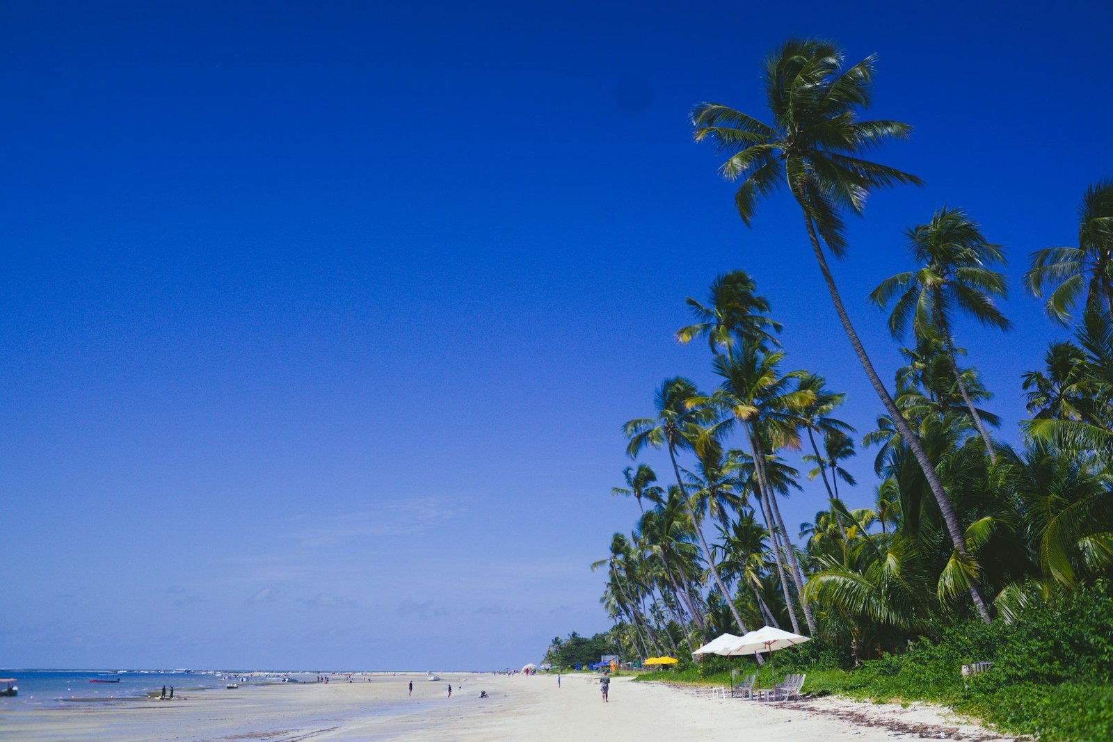 A praia na maré baixa
