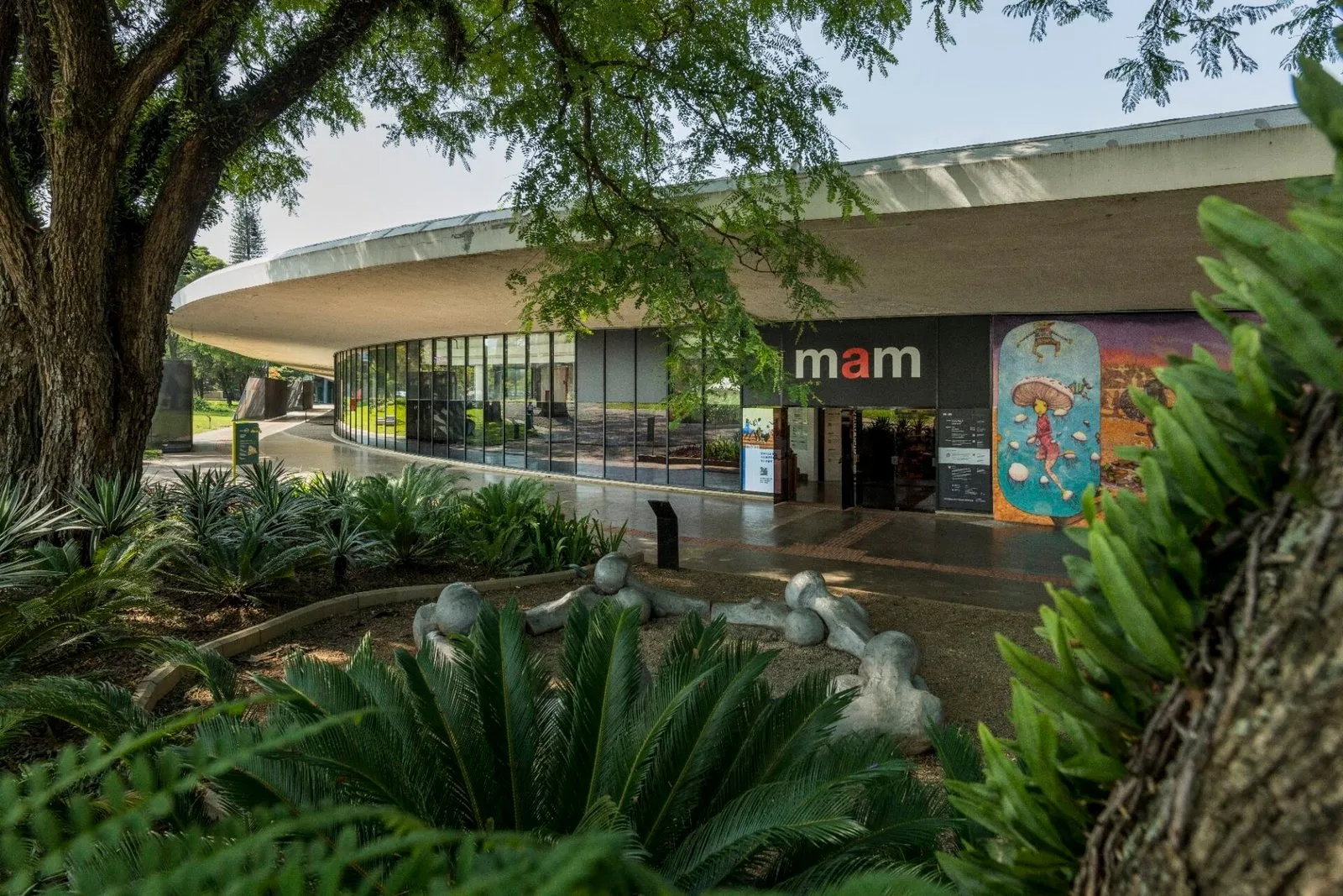 MAM